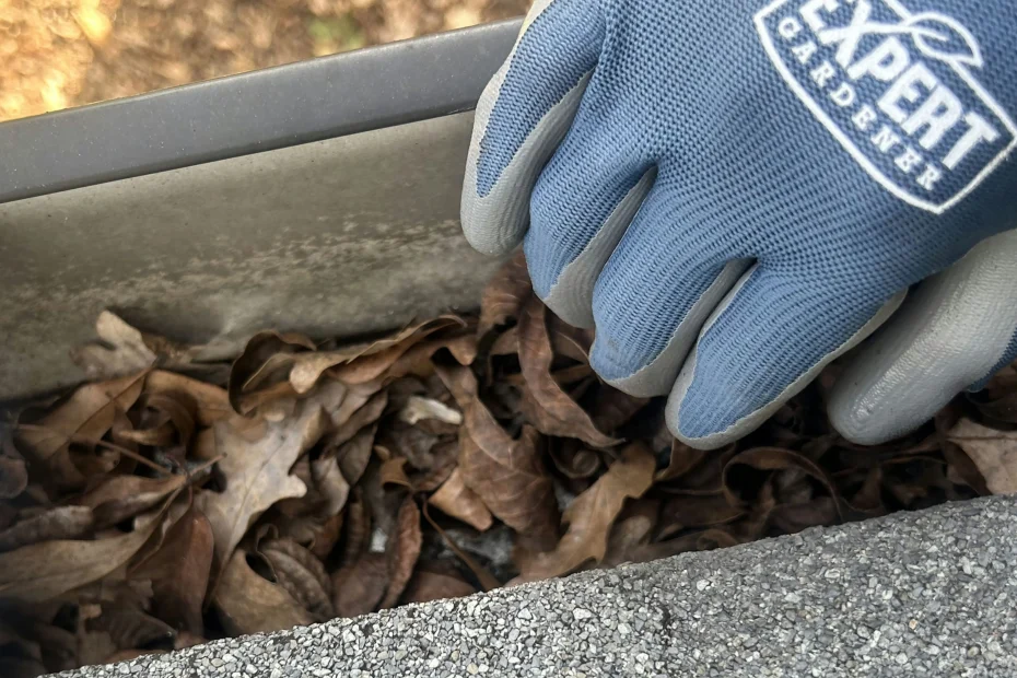 Gutter Cleaning Wilmore