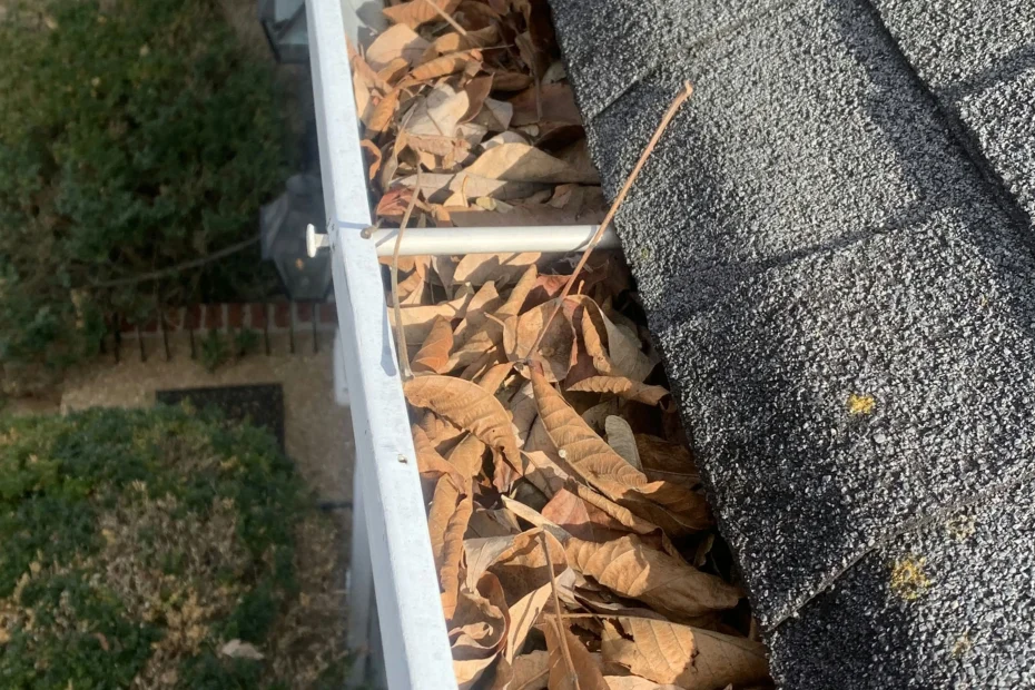 Gutter Cleaning Wilmore