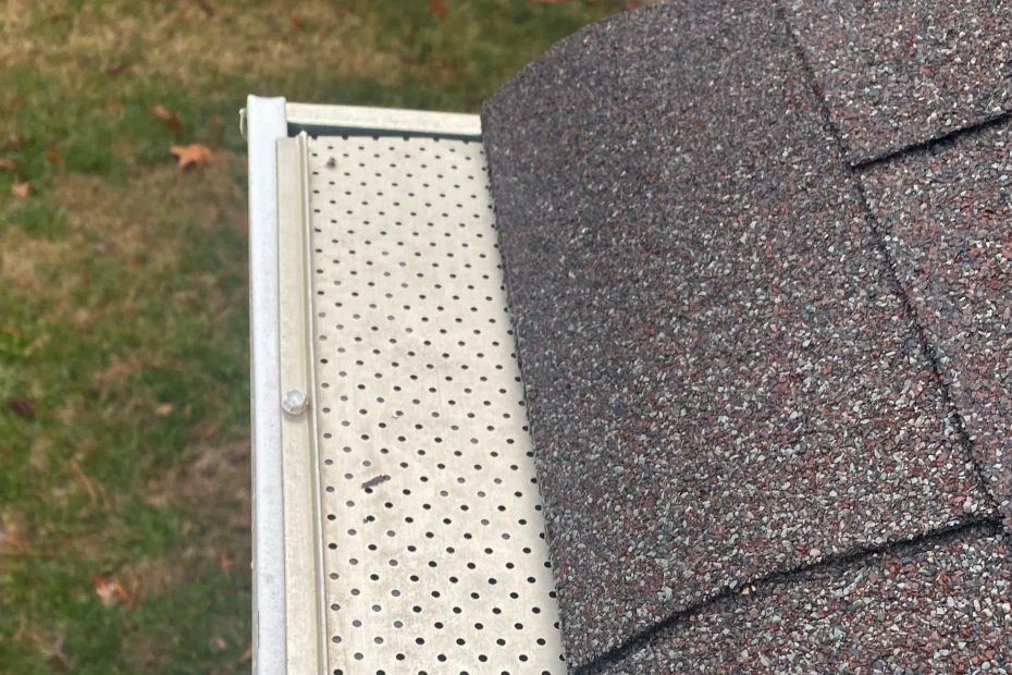 Gutter Cleaning Wilmore