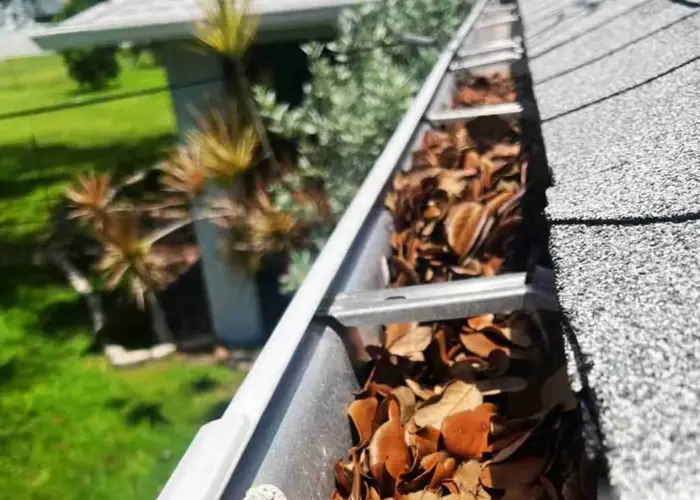 Gutter Cleaning Wilmore home page